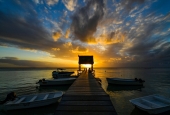 IIP Online Student Photography